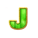 icon 8