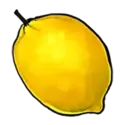 icon 7