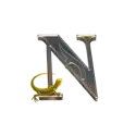 icon 10