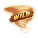 icon 4