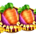 Bonus Buy 5 Free Spins