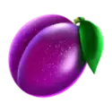 icon 5