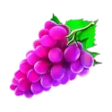 icon 4