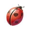 icon 2