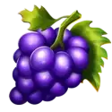 icon 4