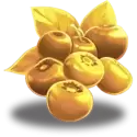 icon 5