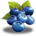 icon 6