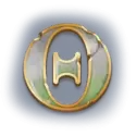 icon 13