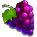 icon 4