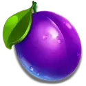 icon 5