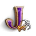 icon 9