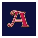 icon 9
