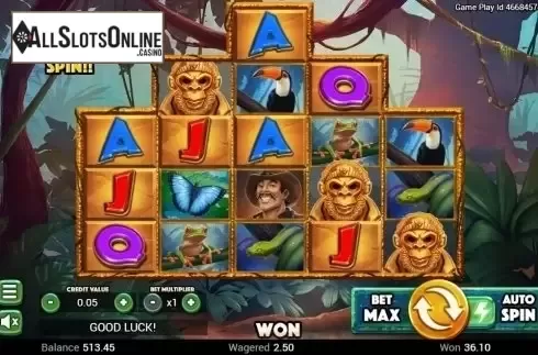 Scatter screen. Golden Amazon from Swintt