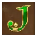 icon 9