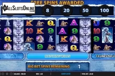 Double reels win screen. Snow Leopard from WMS