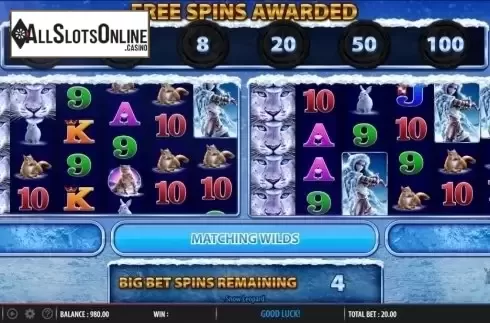 Double reels screen. Snow Leopard from WMS