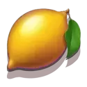icon 6