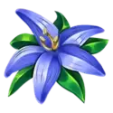icon 5