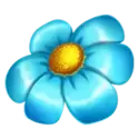 icon 6