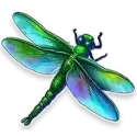 icon 4
