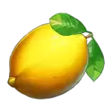 icon 5