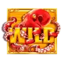 icon 9