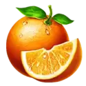 icon 6