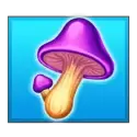 icon 5