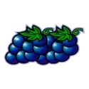 icon 4