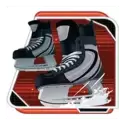 icon 9