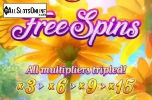 Free Spins 1