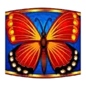 icon 12