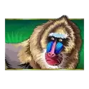 icon 3