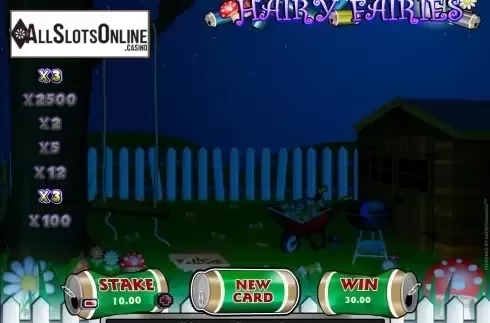 Win screen. Hairy Fairies from Microgaming