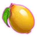 icon 6