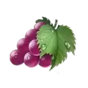 icon 4