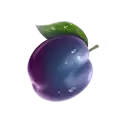 icon 5