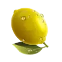 icon 6