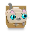 icon 10