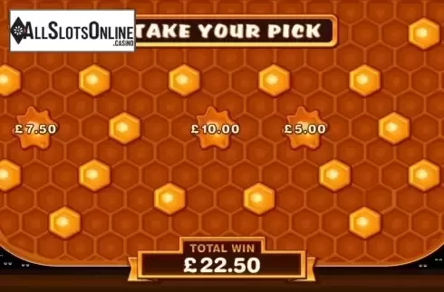 Screen 4. Pollen Party Online Slot from Microgaming