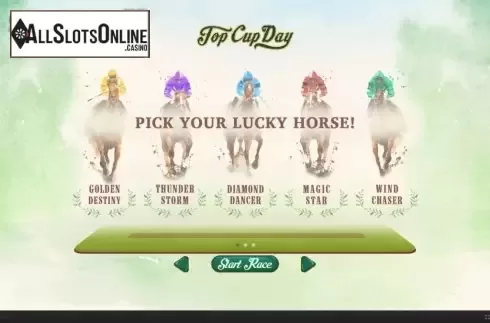 Start Screen. Top Cup Day from Skywind Group