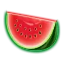 icon 4