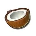 icon 5