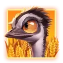 icon 9