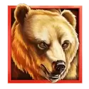 icon 2