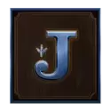 icon 9