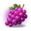 icon 4