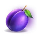 icon 5