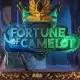 Fortune Of Camelot