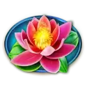 icon 4